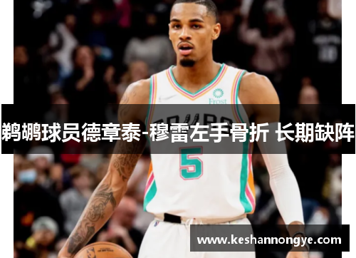 鹈鹕球员德章泰-穆雷左手骨折 长期缺阵